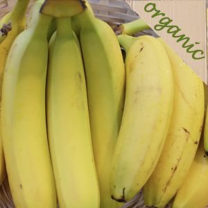 Zeds Organic (Dominican Rep) Bananas – Approx 1kg