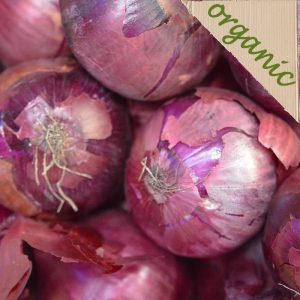 Zeds Organic Red Onions (France) – portion of 3
