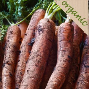 Zeds Organic Dirty Carrots (UK) – Approx 1kg