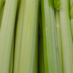 Zeds (Spain) Celery