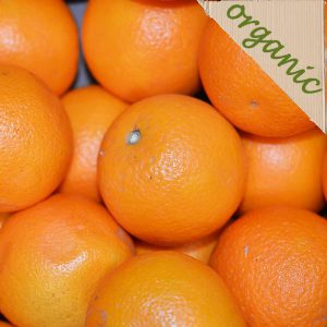Zeds Organic Oranges each (Spain)