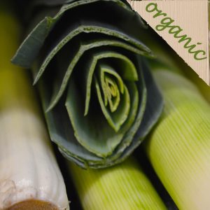 Zeds Organic Leeks – each (UK/France)