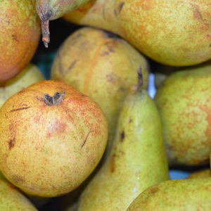 Zeds Pears (Belgium) – each