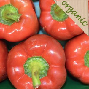 Zeds Organic Large Red Peppers (Spain) – each