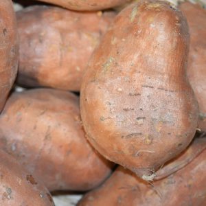 Zeds Sweet Potato (Egypt) – each