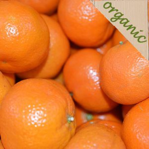 Zeds Organic Clementines – portion of 4 (Spain)