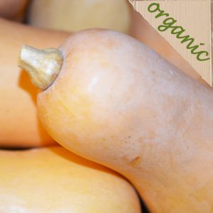 Zeds Organic Butternut Squash – each (Spain)