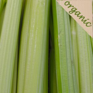 Zeds Organic Celery (Spain) – 1 Head
