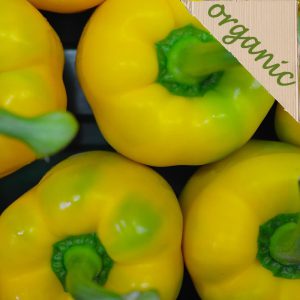 Zeds Organic (Spain) Yellow Peppers – 1 Piece