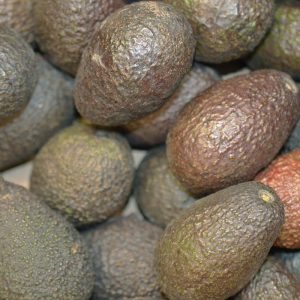 Zeds Avocado (Peru) – each