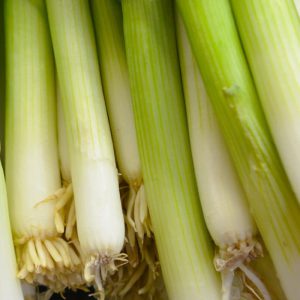 Zeds (Mexico) Spring Onion – Bunch
