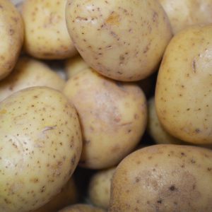 Zeds Baking Potatoes (UK) – each
