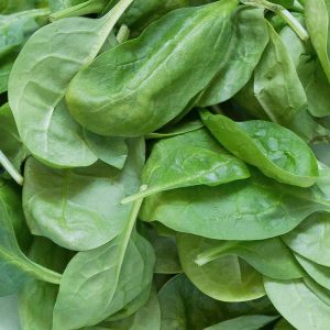 Zeds (UK) Baby Spinach – 200g