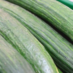 Zeds Cucumber (Spain/UK) – Each