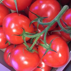 Zeds Vine Tomatoes (NL) – Portion of 4