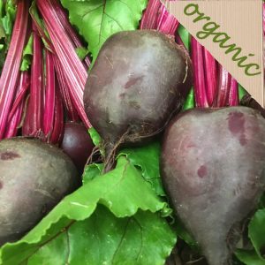 Zeds Organic Beetroot Bunch (Sheffield Grown)