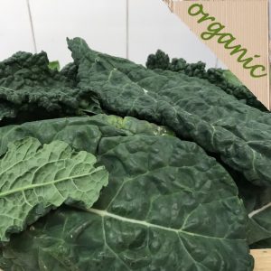 Zeds Organic Cavolonero Kale (UK) – approx 250g