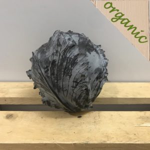 Zeds Organic Red Cabbage (NL)