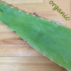 Zeds Organic Aloe Vera (Spain) – Approx 500 – 600g