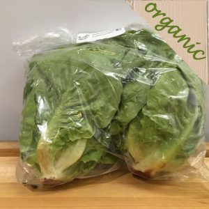 Zeds Organic Little Gem Lettuce – twinpack (Spain)