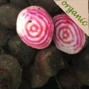 Zeds Organic Chioggia Beetroot – each