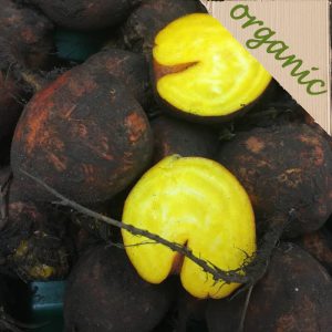 Zeds Organic Golden Beetroot (UK) – each