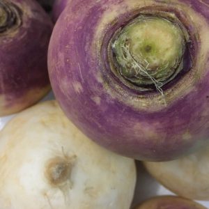 Zeds Turnips (France) – each