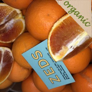 Zeds Organic Blood Oranges (Italy)- Each