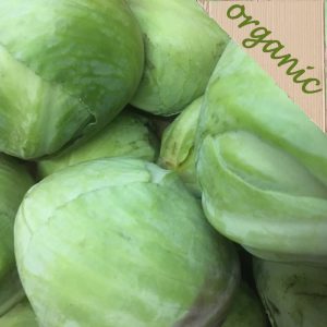 Zeds Organic White Cabbage (France) – Each