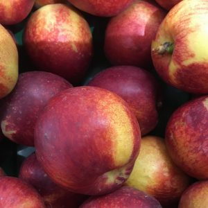 Zeds Organic Nectarines (Spain) – each