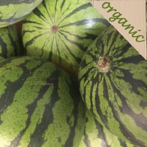 Zeds Organic Watermelons (Spain) – each