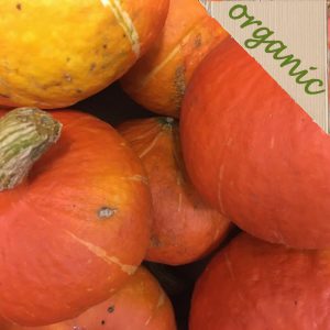 Zeds Organic Orange Winter Squash – EACH