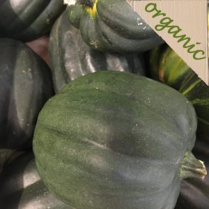 Zeds Organic Delicata Squash – each (UK)