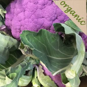 REDUCED20%Zeds Organic Purple Cauliflower (UK) – each