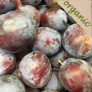 Zeds Organic Golden Gage Plums (UK) – each