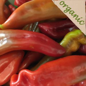 Zeds Organic Red Palermo Peppers (Spain) – each