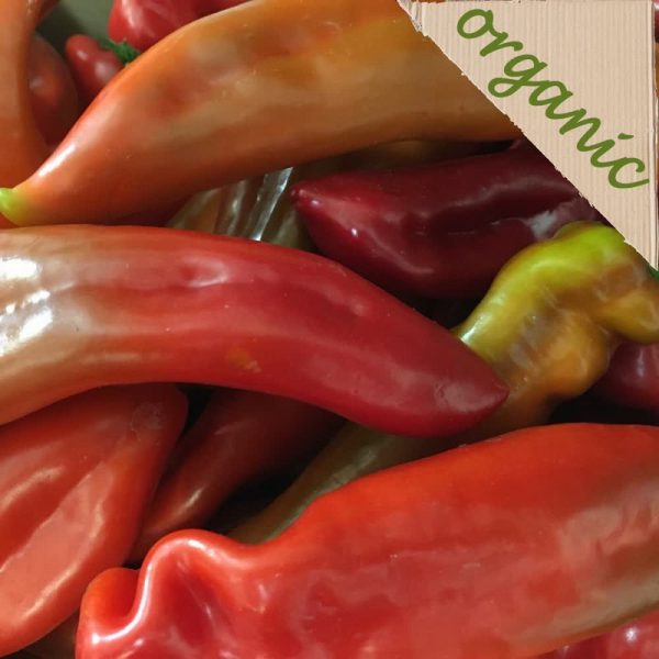 Zeds Organic Red Palermo Peppers (Spain) - each