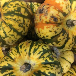 Zeds Organic Harlequin Squash (UK) – each