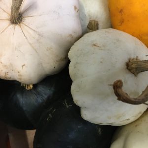 Zeds Organic Mixed Mini Squash/DeepGreen Little Gem (UK) – each