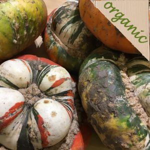 Zeds Organic Turban/Spaghetti Squash/Orange Kabocha – each (UK)