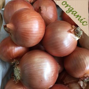 Zeds Organic Yellow Onions (NL) – portion of 3