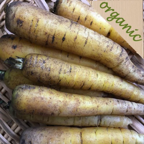 Zeds Organic Yellow Carrots - Approx 1kg (UK) - Image 2