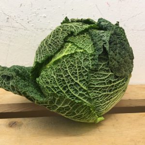 Zeds Savoy Cabbage (France) – 1 Piece