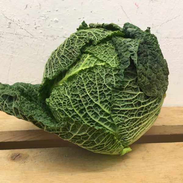 Zeds UK Savoy Cabbage - 1 Piece