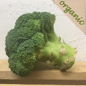 Zeds Organic Broccoli (Spain/Italy)