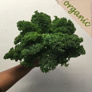 Zeds Organic Curly Kale – approx 300g Bag (Spain)