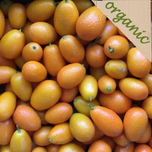 Zeds Organic Kumquats (Spain) – portion of 8