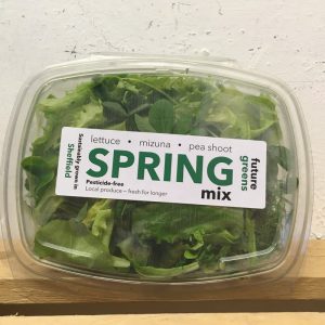 Future Greens Spring Salad Mix (Sheffield grown) – 100g