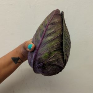 DO NOT ORDER ME!!!Zeds Organic (Portugal) Pointed Cabbage – Each