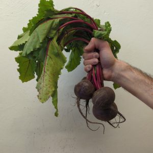 Zeds Organic Beetroot  (UK) – each